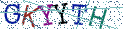 Type the letters shown in the picture