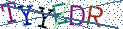 Type the letters shown in the picture