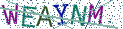 Type the letters shown in the picture