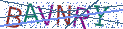 Type the letters shown in the picture