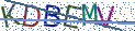 Type the letters shown in the picture