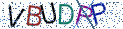 Type the letters shown in the picture