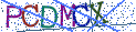 Type the letters shown in the picture