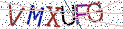 Type the letters shown in the picture