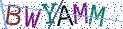 Type the letters shown in the picture