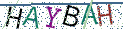 Type the letters shown in the picture