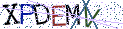 Type the letters shown in the picture