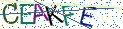 Type the letters shown in the picture