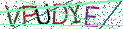 Type the letters shown in the picture