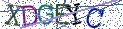 Type the letters shown in the picture