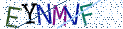 Type the letters shown in the picture