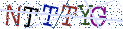 Type the letters shown in the picture