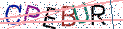 Type the letters shown in the picture