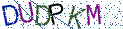 Type the letters shown in the picture