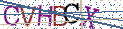 Type the letters shown in the picture