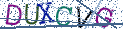 Type the letters shown in the picture
