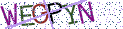 Type the letters shown in the picture
