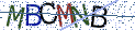 Type the letters shown in the picture