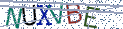 Type the letters shown in the picture