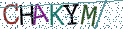Type the letters shown in the picture