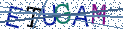 Type the letters shown in the picture