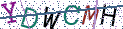Type the letters shown in the picture