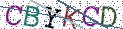 Type the letters shown in the picture