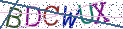 Type the letters shown in the picture