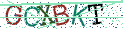 Type the letters shown in the picture