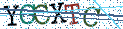 Type the letters shown in the picture