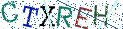 Type the letters shown in the picture