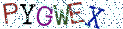 Type the letters shown in the picture