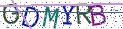 Type the letters shown in the picture