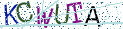 Type the letters shown in the picture