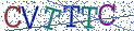 Type the letters shown in the picture