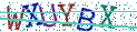 Type the letters shown in the picture