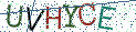 Type the letters shown in the picture