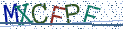 Type the letters shown in the picture
