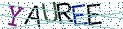 Type the letters shown in the picture