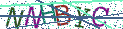 Type the letters shown in the picture