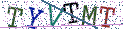 Type the letters shown in the picture