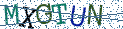 Type the letters shown in the picture