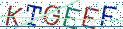 Type the letters shown in the picture