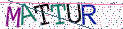 Type the letters shown in the picture