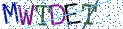 Type the letters shown in the picture