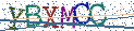 Type the letters shown in the picture