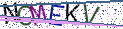 Type the letters shown in the picture