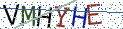 Type the letters shown in the picture
