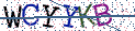 Type the letters shown in the picture