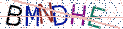 Type the letters shown in the picture